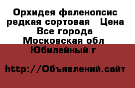 Орхидея фаленопсис редкая сортовая › Цена ­ 800 - Все города  »    . Московская обл.,Юбилейный г.